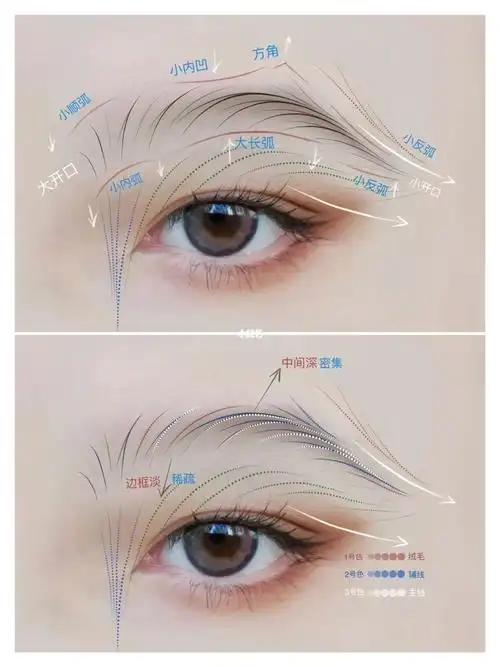 眉毛的美感更具飘逸性和独特化!