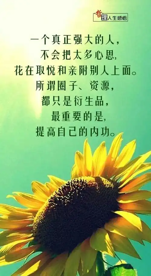 感悟:《哲理人生感悟 ,悟出做人道理 ,树正确人生观,享受人间美好!