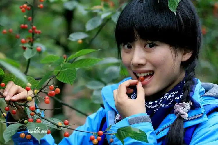 谭文颖 wenying tan 的图片