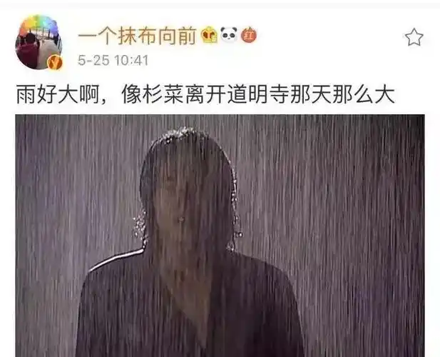 比杉菜离开道明寺那天还大比依萍问她爸要钱那天还大听说这天的雨比