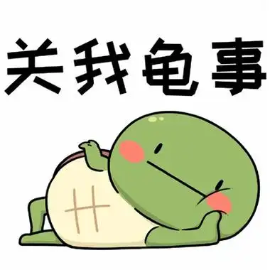 绿崽乌龟表情包大全绿头王八表情包卡通可爱
