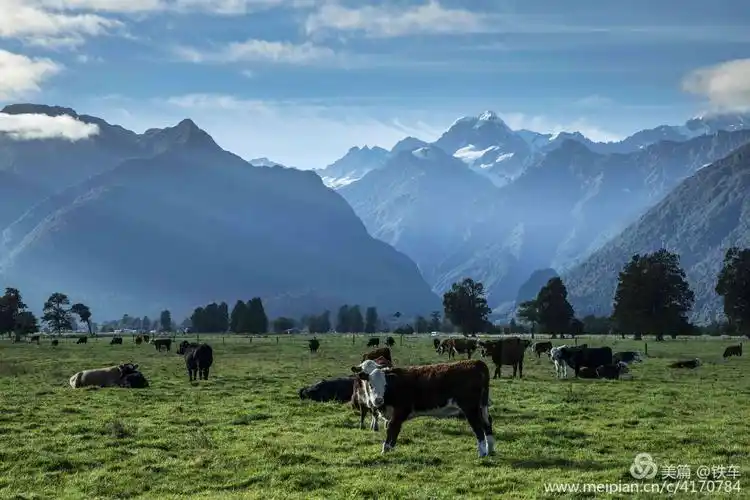 自驾新西兰,最美在路上
