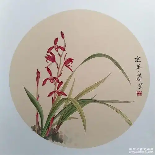几个喜欢的品种,工笔画-春兰篇-中国兰花交易网社区
