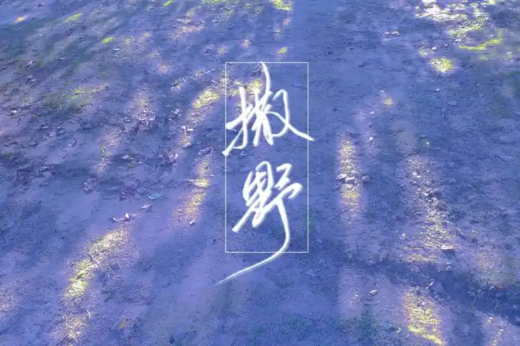 撒野,你是我心里永远的白月光! - 堆糖,美图壁纸兴趣社区