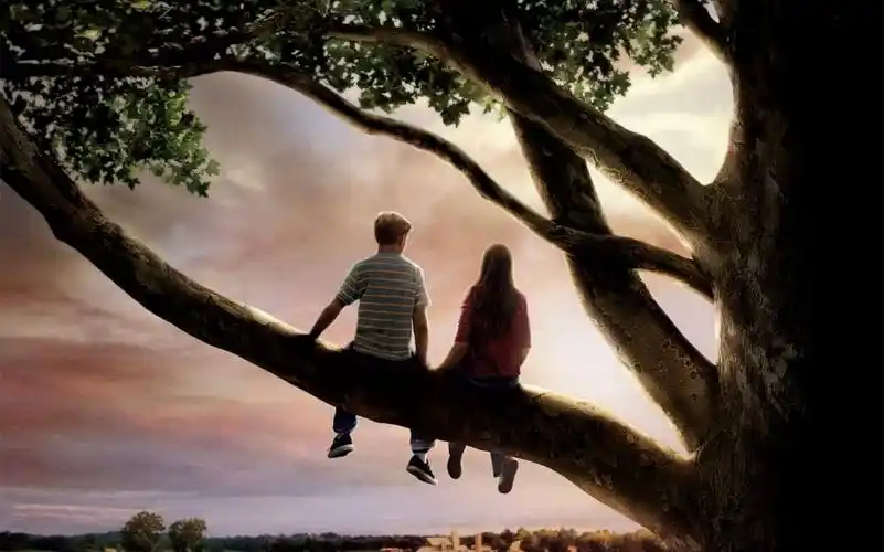 豆瓣90经典初恋电影见到他第一眼我就怦然心动了