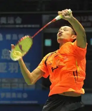 轻松管理手机 免费下载应用北京时间4月19日消息,今天2012羽毛球亚锦