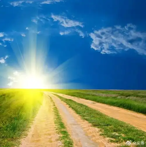 让你瞬间清醒的心灵鸡汤,现实透彻,引人共鸣!