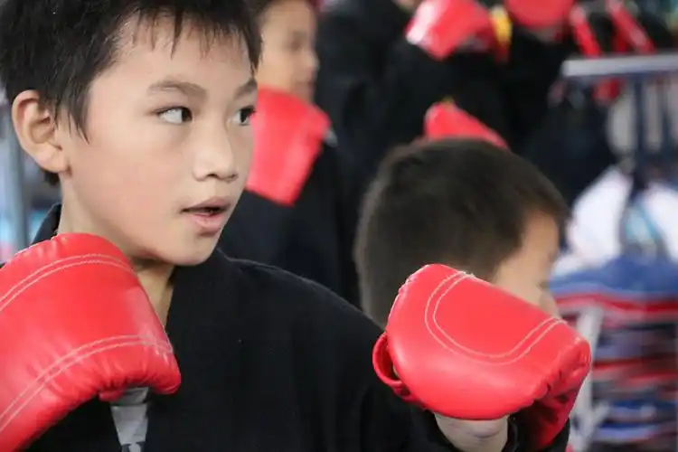 散打介绍 - 武道入口 - 遵义博尔教育【跆拳道,舞蹈专业培训机构】