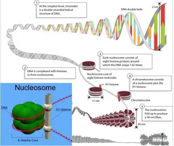 孙冰:不同技术在液体活检中应用的场景及注意事项_搜狐科技_搜狐网