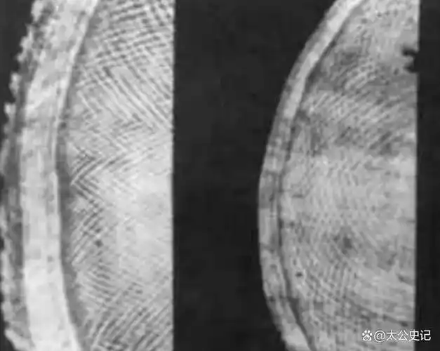 常见新象牙制品有非洲/亚洲象牙和猛犸牙之分,非洲/亚洲象又称短毛象