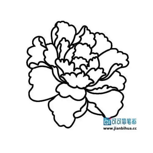 简笔画的国花怎么画