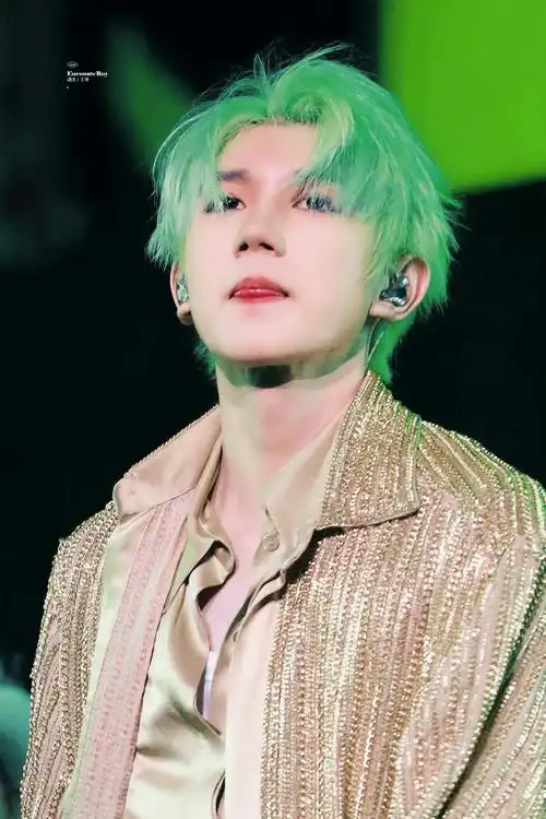王源染了绿发#王源演唱会绿海,人头有点多