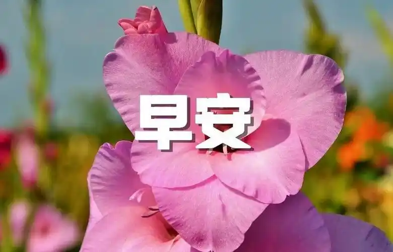 2021年12月9日星期四清晨早上好问候祝福图片 周四最新早安问候祝福