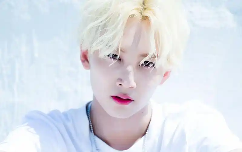 【seventeen】  dont wanna cry手动1.5倍,2倍速 performance ver.