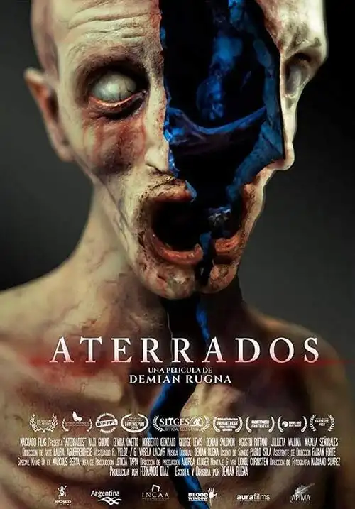 首页 电影 恐怖片 诡怪疑云 aterrados主演: ariel chavarría