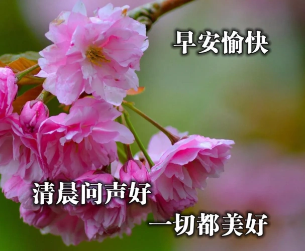 原创早上好漂亮的图片带祝福动态图片早安唯美问候句子