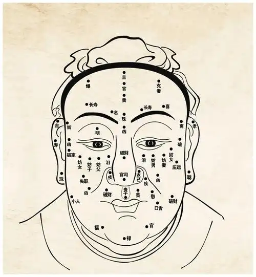 男生眉形面相解析男人眉毛面相的奥秘