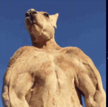 真逗厉害了萌宠笑死人搞笑gif动图_动态图_表情包下载_soogif