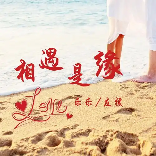 未知歌手伦巴相遇是缘dj版