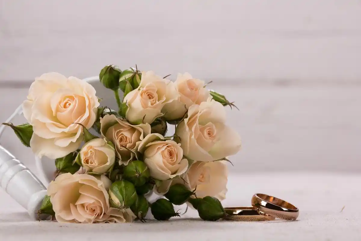 不同颜色玫瑰花的寓意和花语(玫瑰花语每朵代表什么)-第1张图片-潮