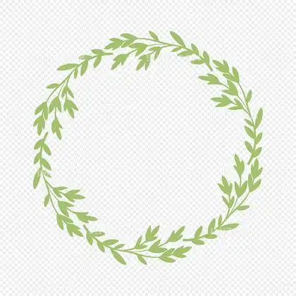 花环花边手绘边框绿植logo