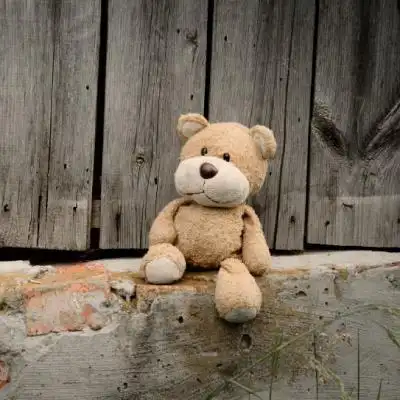 玩具熊微信头像 毛绒绒的玩偶熊微信头像