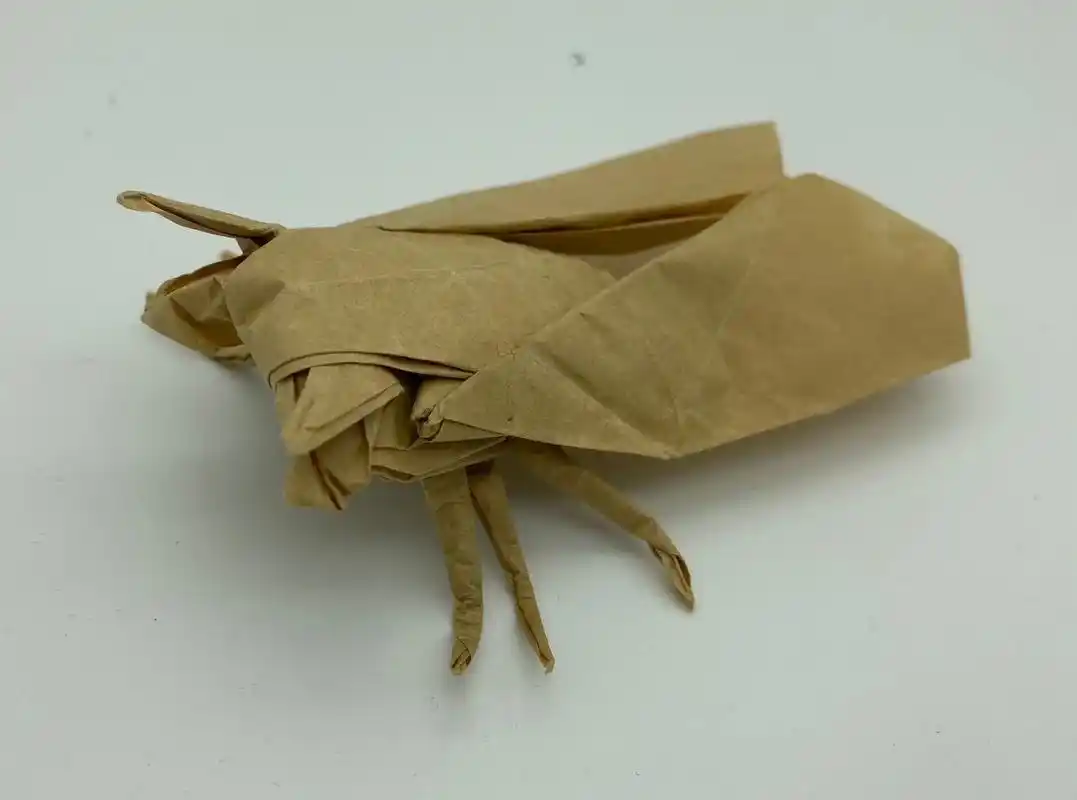 蝉.#折纸 #手工 #制作过程 #艺术 #动手能力 - 抖音