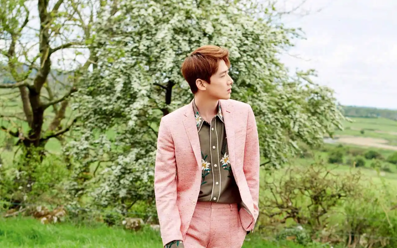 校园男神白敬亭帅气草丛写真壁纸_大陆明星_壁纸下载_美桌网