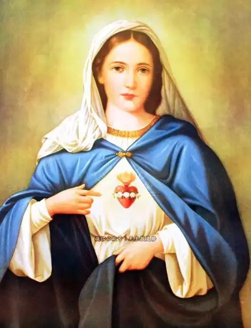 图文【圣母圣心】美丽圣心活水泉|6月09日|11张高清圣心圣像_网易订阅