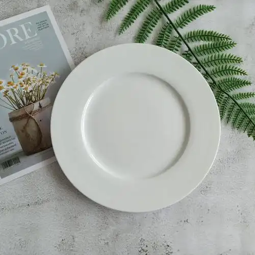 工厂直销批发陶瓷白色圆盘平盘酒店家用牛排盘西餐盘logo