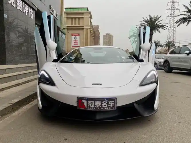 湖北二手车 武汉二手车报价 二手跑车 二手迈凯伦 二手540c 详情