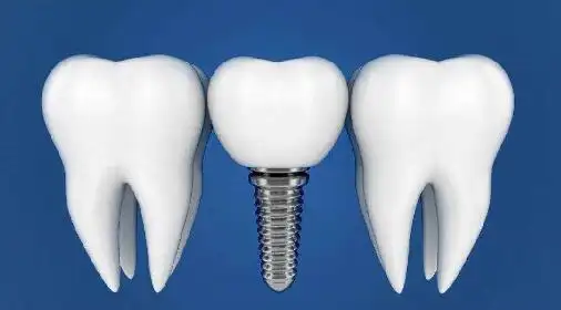 二,臼齿会换牙吗?