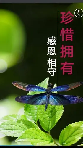 珍惜拥有,珍惜眼前人!