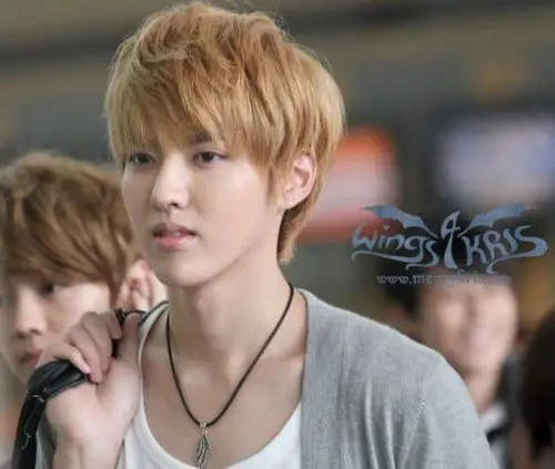 吴亦凡郭敬明微博互动疑将合作 《小时代3》《幻城》重金邀请