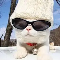 戴眼镜的小伙伴们 超酷滴_风景静物头像_我要个性网