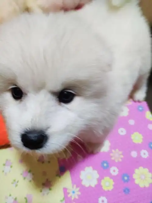 1080_1440竖版 竖屏