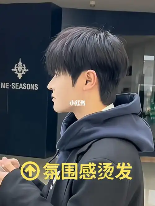 自然蓬松的摩根碎盖网络氛围感男生发型