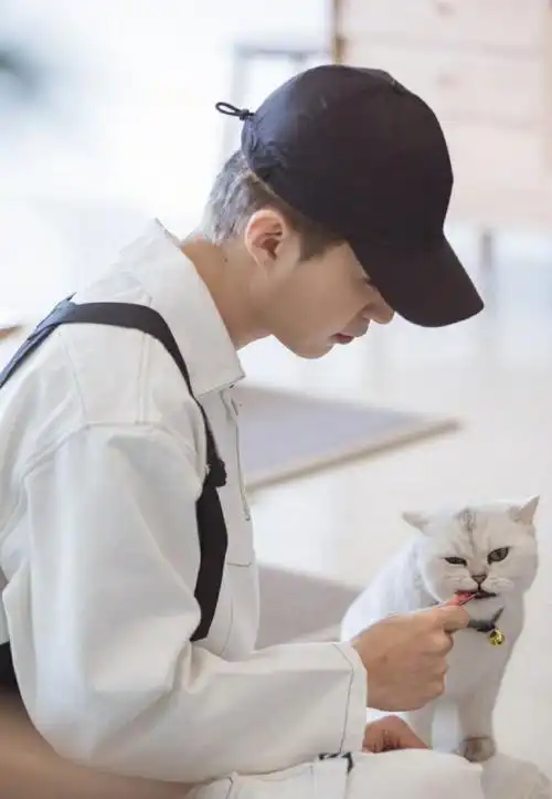 范丞丞撸猫##朋友请听好