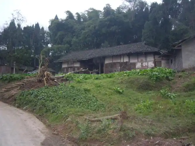 留下老屋和老人我们打工走了