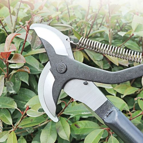 高枝剪高空剪sk-5修枝剪果枝剪树枝剪子园林工具省力剪园艺双头剪