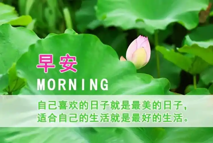 早上好朋友最美早安问候祝福语加动态漂亮图片祝你天天好心情