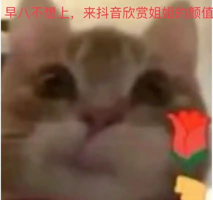 想看看北方的小土豆和南方的小土豆谁的腿更长#表情 - 抖音