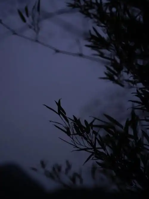 清风明月都应该是一个人的事情