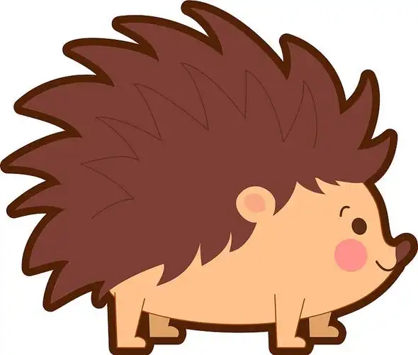 可爱的刺猬图片