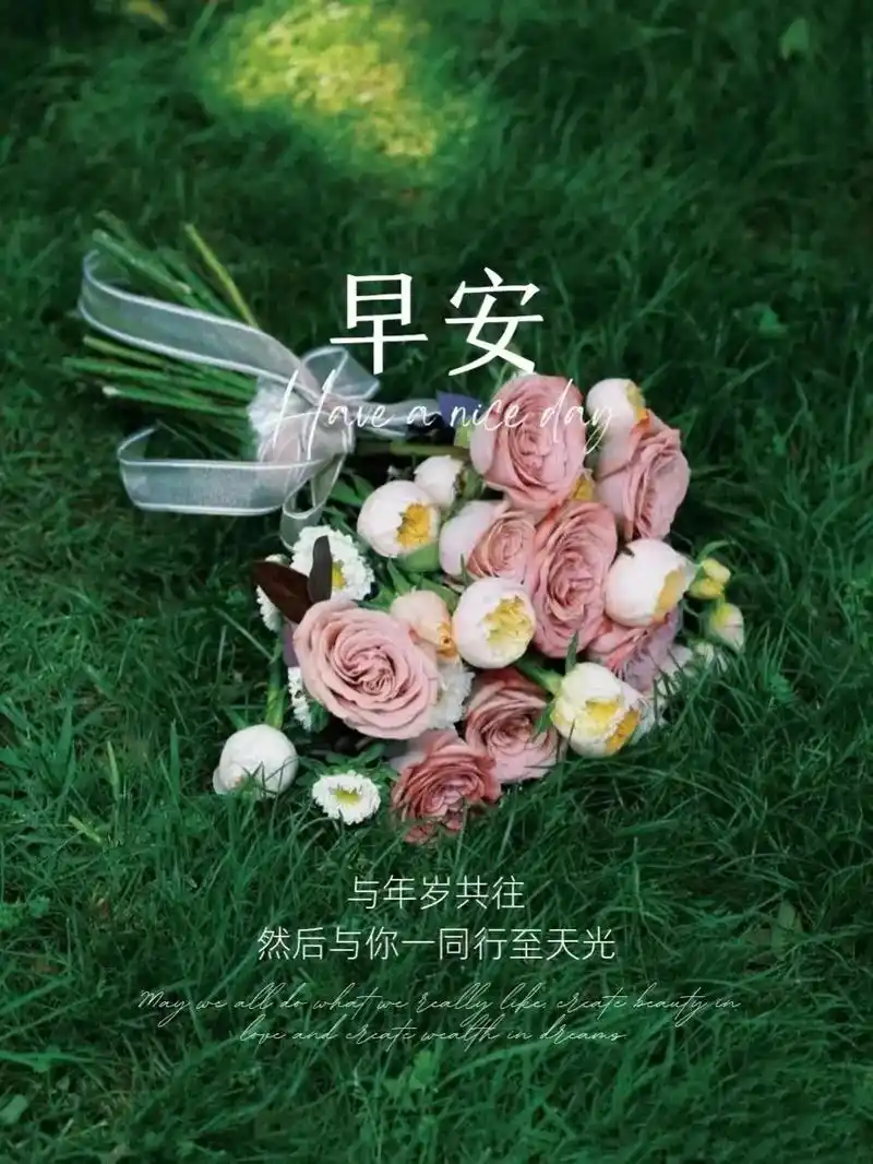 早安海报|朋友圈发图|适合清晨发的句子 good morni - 抖音