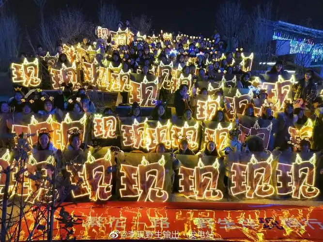 李现爱奇艺尖叫之夜应援图,天现宝宝辛苦了(更新)