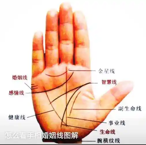 手相揭秘:解锁婚姻线的浪漫密码