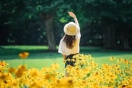 花海女孩背影图片素材