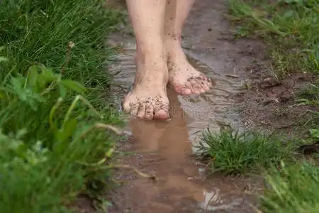 雨后水洼里的女人的脚,特写泥脚脚印和鞋子脏脚穿大凉鞋的儿童脚泥泞