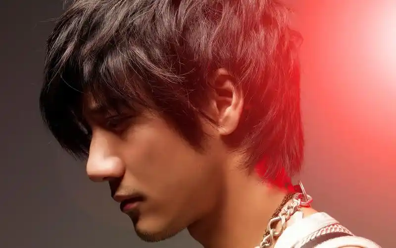 王力宏写真高清桌面壁纸